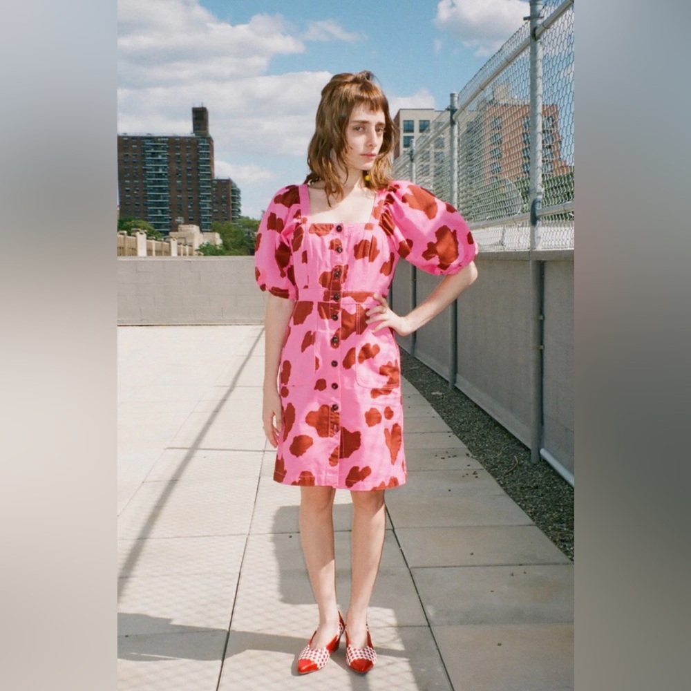 Rachel Antonoff India Puff Sleeve Dress